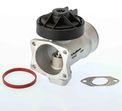 Produktbild von AGR-Ventil BORG WARNER 7234D