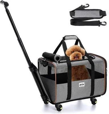 Immagine prodotto di Marsupio per cani con trasportino in plastica 2 in 1