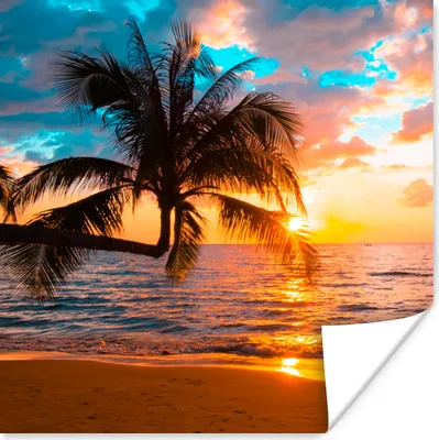 Produktbild von MuchoWow® Poster Palme - Sonnenuntergang - Horizont - Strand - Meer - Tropisch 75x75 cm - Wand Dekoration