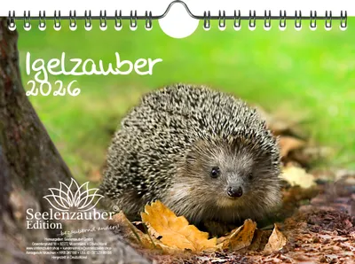 Produktbild von Igelzauber DIN A5 Kalender für 2026 Igel - Seelenzauber