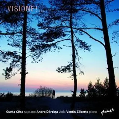 Produktbild von Visione!...