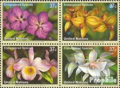 Produktbild von Briefmarken UNO - New York 2005 Mi 973-976 Viererblock (kompl.Ausg.) FDC Orchideen