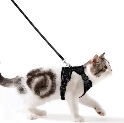 Image de Harnais ajustable avec laisse pour chaton - anti-fugue et bandes réfléchissantes, noir, taille S