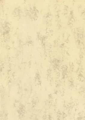 Zdjęcie produktu dla BRUNNEN 105141211 Papier wielofunkcyjny Papier uniwersalny Marmur A4 ircha
