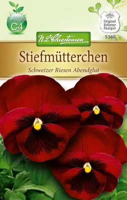 Produktbild von Stiefmütterchen Schweizer Riesen | Stiefmütterchensamen von N.L. Chrestensen