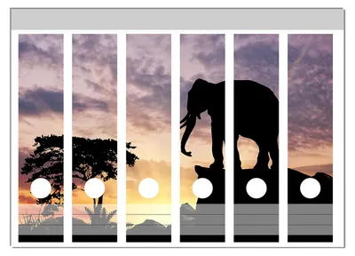 Produktbild von Wallario Ordnerrücken Sticker, selbstklebend für breite Ordner, 6 Stück, Motiv Elefant vor Abendhimmel