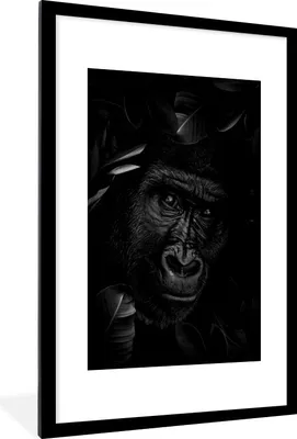 Produktbild von MuchoWow® Gerahmtes Poster Botanischer Affe vor dunklem Hintergrund - schwarz und weiß 60x90 cm - Poster mit Schwarzem Bilderrahmen Wandposter Rahmen Foto Bilder - Dekoration - Wandposter Wohnzimmer - Hochwertig