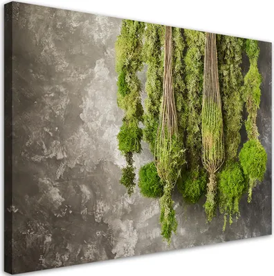 Produktbild von Leinwandbild Moospflanze Natur 90x60 Feeby Grün bild für die wand bereit zum aufhängen