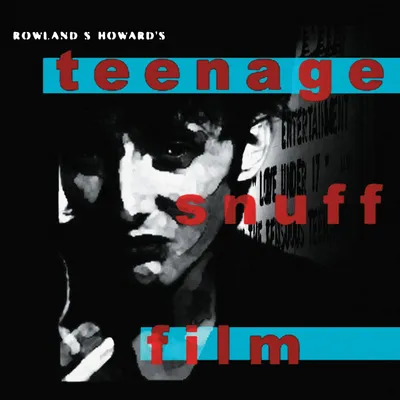 Vinyl-Schallplatte, 2 LPs, Teenage Snuff Film