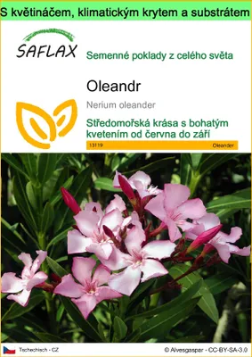 Obrázek produktu pro SAFLAX Garden to go - oleandr - Nerium oleander - 50 Semena - S květináčem, klimatickou poklicí a pěstebním substrátem