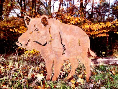 Produktbild von Edelrost Wildschwein Gartenstecker 60 x 74 cm