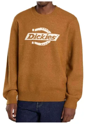 Produktbild von Pullover Dickies DK0A87OQ0BD1-2FW5 für Uni