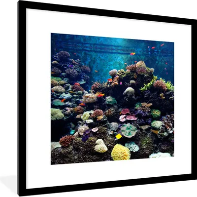 Produktbild von MuchoWow® Gerahmtes Poster Aquarium mit tropischen Fischen und Korallen 40x40 cm - Poster mit Schwarzem Bilderrahmen Wandposter Rahmen Foto Bilder - Poster - Plakat im Rahmen