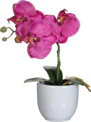 Produktbild von Mica Kunstpflanze Phalaenopsis im Topf violett, 26 x 12 cm
