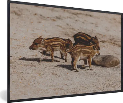 Produktbild von MuchoWow® MuchoWow® Gerahmtes Poster Baby - Wildschweine - Wild 90x60 cm - Poster mit zchwarzem Bilderrahmen - Fotorahmen - Foto-Plakat