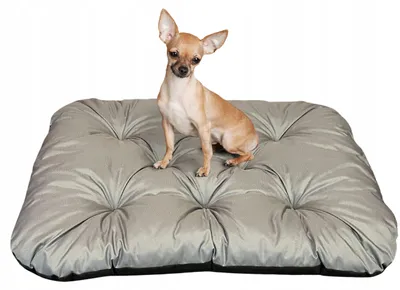 Produktbild von Dogs 4 Life Kissen Hundebett wasserabweisend 70x50 cm