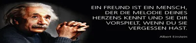 Produktbild von vianmo Blechschild 10x46 cm Einstein Zitat  Freund, der die Melodie deines Herzens