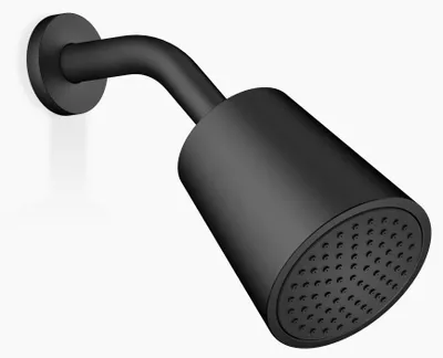 Immagine prodotto di Douche de tête Dornbracht, saillie 180-210mm, 28504979-33, 28504979-33