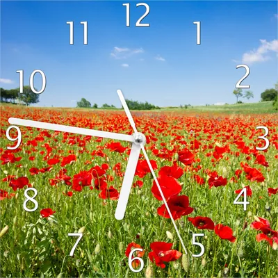 Produktbild von Wallario Design Wanduhr Mohnblumenfeld- rote Blumen unter blauem Himmel aus Echtglas, Größe 20 x 20 cm