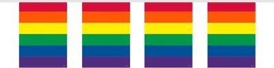 Produktbild von Folat Regenbogen Flaggenbanner Girlande, Folie, 10 m, 15 Wimpel