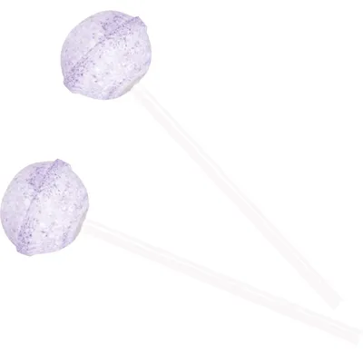 Obrázok produktu pre Miradent XyliPOP, lízanka s príchuťou čučoriedky, určená na dentálnu hygienu, hmotnosť 1 g