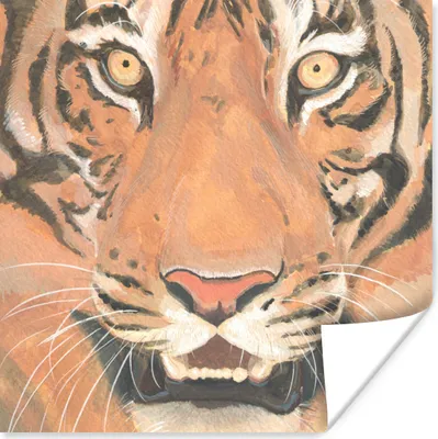 Produktbild von MuchoWow® Poster Tiger - Kopf - Orange 30x30 cm - Wandposter - Printing