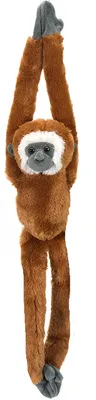 Produktbild von Wild Republic Stofftier - Gibbon Affe - braun - 51 cm - Waldtiere