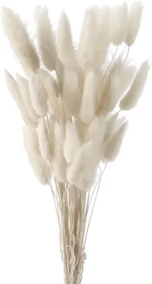Obrázok produktu pre Pampasová tráva, sušené kvety, 45 cm, 50 kusov, prírodná dekorácia do obývačky