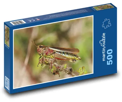 Obrázek produktu pro martinpuzzle - Puzzle 500 - Saranče