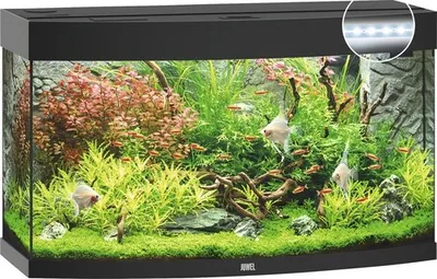 Produktbild von Aquarium JUWEL Vision 180 mit LED-Beleuchtung, Heizer, Filter ohne Unterschrank schwarz