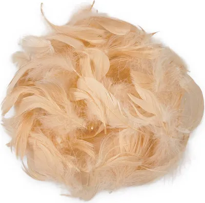 Produktbild von DECO FEDERN Bunt Bastelfeder Fasching Karneval Handwerk Hochzeit 10Stk. apricot