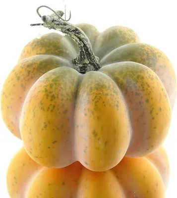 Produktbild von GASPER Herbstdeko Rippenkürbis Orange Ø 15 cm - Kunstblumen