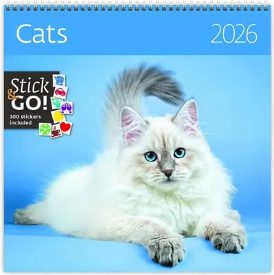Immagine prodotto di Gatti 2026 - calendario da parete