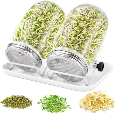 Produktbild von Keimset mit 2 x 750 ml Gläsern, Edelstahldeckeln, Tropfschale, für frisches Gemüse