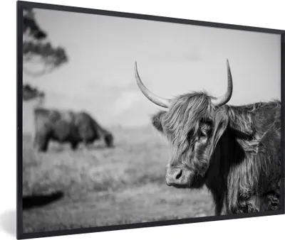 Produktbild von MuchoWow® MuchoWow® Gerahmtes Poster Schottisches Hochlandrind - Tiere - Schwarz - Weiß 30x20 cm - Poster mit zchwarzem Bilderrahmen - Kunstdruck - Bild-Poster