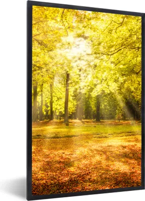 Produktbild von MuchoWow® Gerahmtes Poster Baum - Natur - Sonne - Landschaft - Wald 60x90 cm - Poster mit Schwarzem Bilderrahmen Wandposter Rahmen Foto Bilder - Kunst