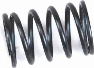 Produktbild von Graupner Federn hinten