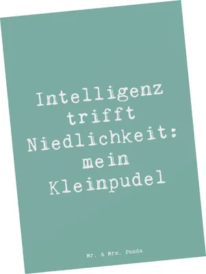 Produktbild von Mr. & Mrs. Panda Postkarte Spruch Niedlicher Kleinpudel - Meeresbrise - Geschenk, mein, Ansichtskarten, treuer Begleiter, Ansichtskarte, Hunderasse, Grußkarte, Hund