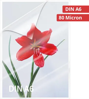 Produktbild von 1x100 Olympia Laminierfolien DIN A6 80 micron            9168