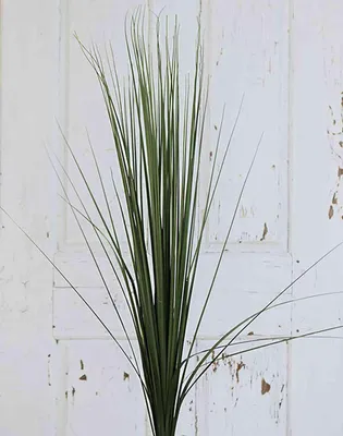 Produktbild von artplants.de Künstliches Chinaschilf Zweig Ayumi, grün, 155cm - Kunst Chinaschilf