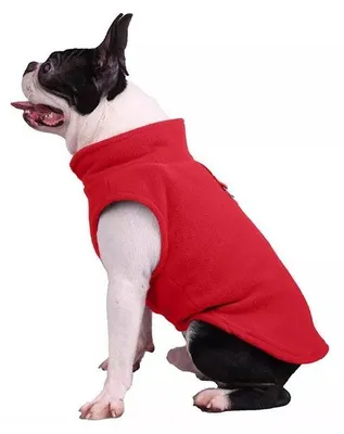Produktbild von Surtep Animals Fleece-Sweatshirt für Hund mit Leine