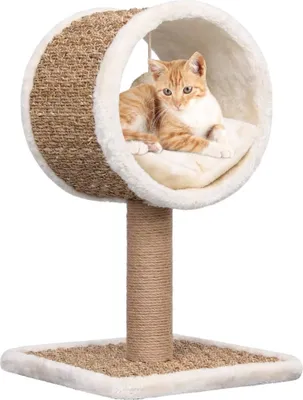 Produktbild von Katzen-Kratzbaum mit Tunnel und Spielzeug 56 cm Seegras