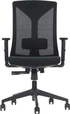 Obrázek produktu pro Ergonomická otočná kancelářská židle HAGER, nylonová podnož, nastavitelné područky, černá, opěrka ze síťoviny