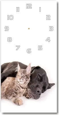 Produktbild von Wanduhr aus Glas – 30x60 cm - Glasbild - Glasuhr - Gehärtetes Glas -Hund und Katze