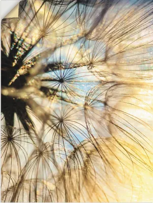 Produktbild von ARTland Wandbild, selbstklebend Pusteblume Poesie Größe: 45x60 cm