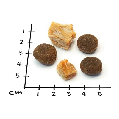 A ruler is placed next to several pieces of pet food.