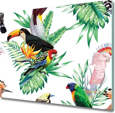 Produktbild von Glas Herdabdeckplatte 60x52 cm Spritzschutz Glasabdeckplatte Schneidebrett Tropische Vögel