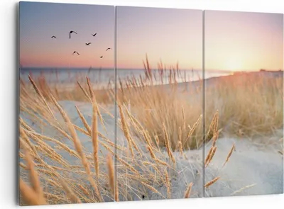 Produktbild von Bild auf Leinwand - Leinwandbild - 3 Teile - Sonne Vögel Sand - 165x110cm - Wand Bild - Wanddeko - Wandbilder - Leinwanddruck - Bilder - Wanddekoration - Leinwand bilder - Wandbild - CE165x110-4810