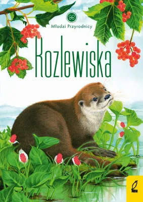 Obrázok produktu pre Młodzi przyrodnicy Tom 13 Rozlewiska - Patrycja Zarawska (Buch auf Polnisch)