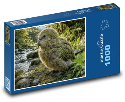 Obrázok produktu pre Puzzle 1000 Kakapo na jarnom brehu - martinpuzzle
